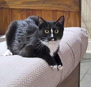 Photo of Susie
