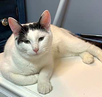 Photo of Molly