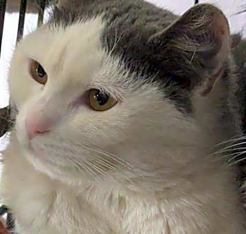 Photo of Penelope