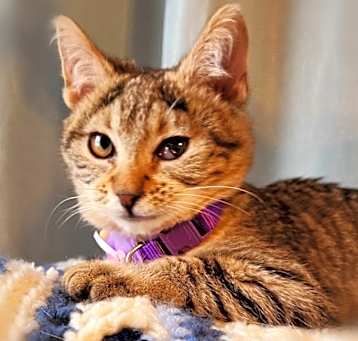 Photo of Eve