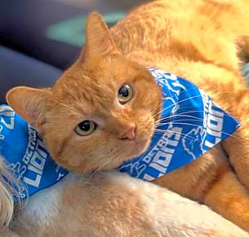 Photo of Rusty