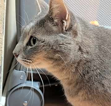 Photo of Jelly