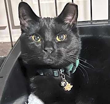 Photo of Hershey