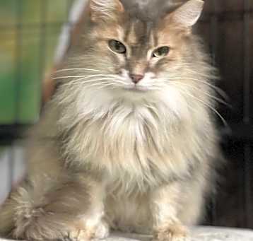 Photo of Eenie