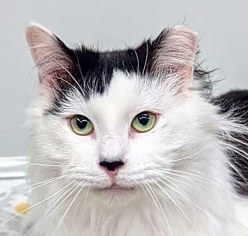 Photo of Paddy