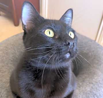 Photo of Larry