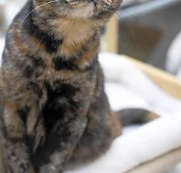 Photo of Sally