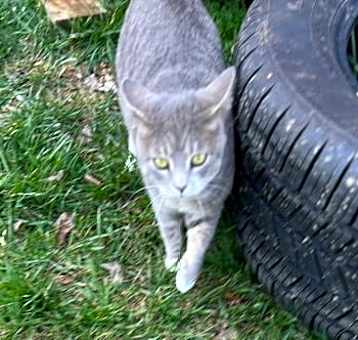 Photo of Lola