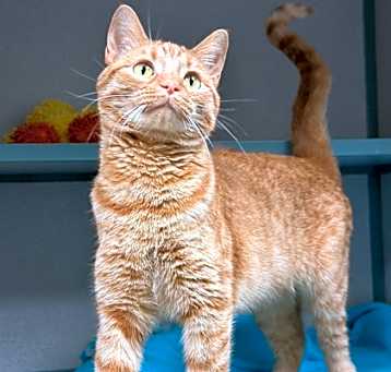 Photo of Autumn Spice
