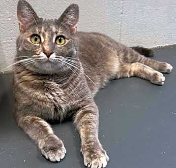 Photo of Nakita