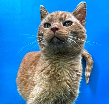 Photo of Catti-Brie