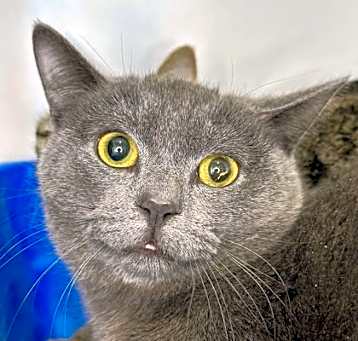 Photo of Zooey