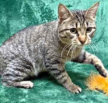 Photo of Zena