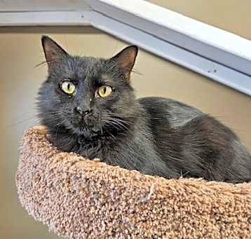 Photo of Betty