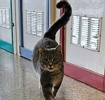 Photo of Theodore