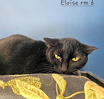 Photo of Eloise