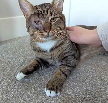 Photo of Alastor