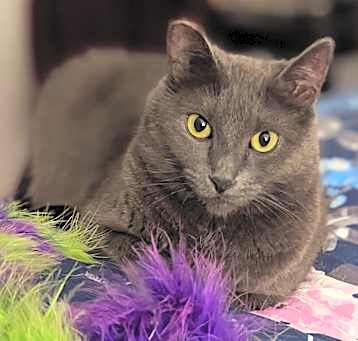 Photo of Alice