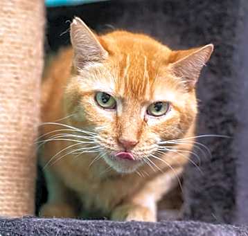 Photo of Abbott