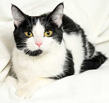 Photo of Maeve
