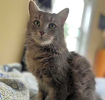 Photo of Elaine