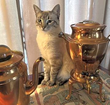 Photo of Rupi