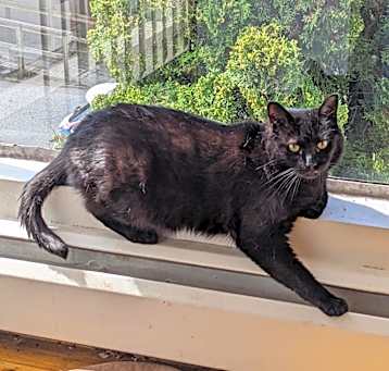 Photo of Merry