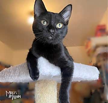 Photo of Amy Pawler