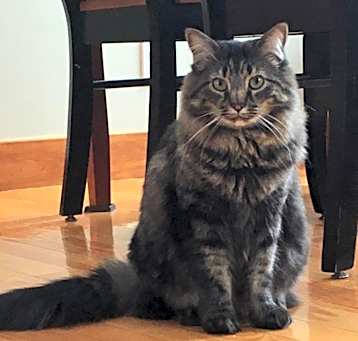 Photo of Kenai