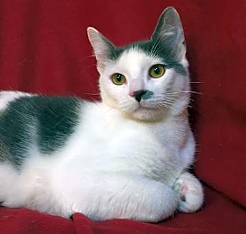 Photo of Taco Fersch