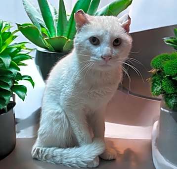 Photo of Nieve