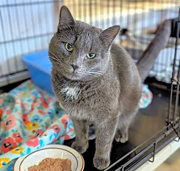 Photo of Sergei