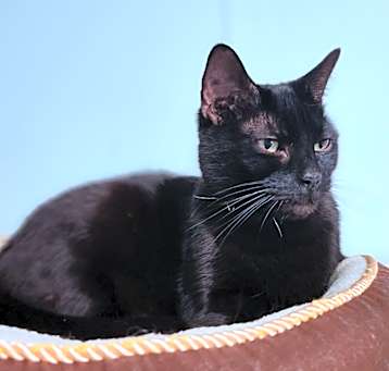 Photo of Baby Girl