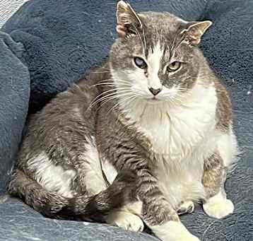 Photo of Gatsby