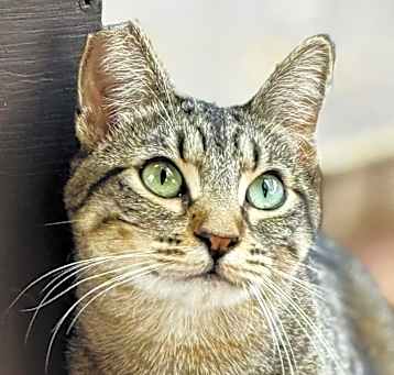 Photo of Fliss