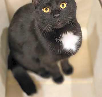 Photo of Geraldine