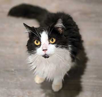 Photo of Tess
