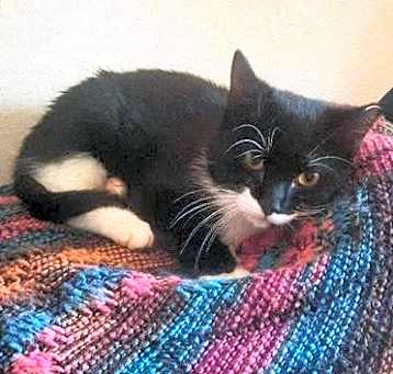 Photo of Bootsie