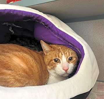 Photo of TIGGER