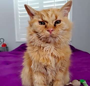 Photo of Wyatt