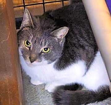 Photo of Beatrix