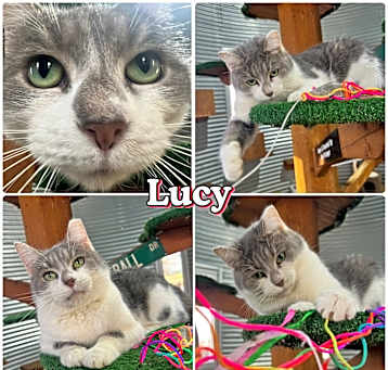 Photo of Lucy - Silo