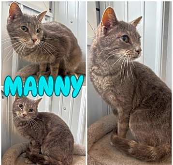 Photo of Manny