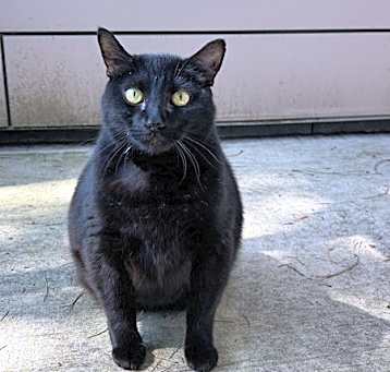 Photo of Tiberius