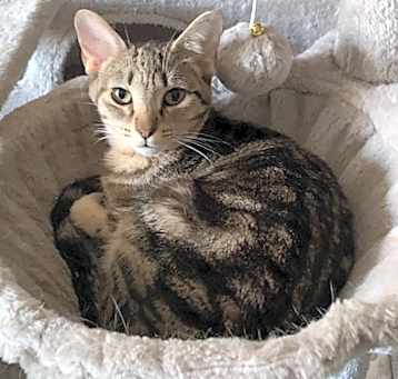 Photo of Abby