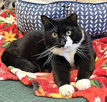 Photo of Bootsie