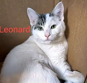 Photo of Leonard