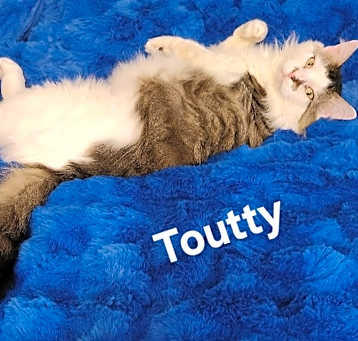 Photo of Toutty 1670