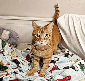 Photo of Golly