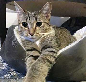 Photo of Miss Lizzy